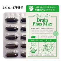 뉴트리랩스 브레인 포스 맥스 뇌 영양제 ps 300mg 포스파티딜세린 메모라이즈 은행잎추출물 피에스 기억력 집중력 인지력 개선 수험생 성장기 청소년 중년 장년 노년 건강 추천, 3개, 1개당 1200mgX60캡슐