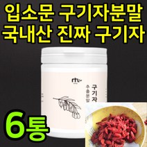 40대 여성 구기자분말 유산균 락토바실러스 플란타럼