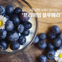 영화농산 2kg 생블루베리 블루베리가격 안토시아닌 항산화질 식이섬유 눈 젊음 월귤나무 북반구 칼슘 철, 상세페이지 참조