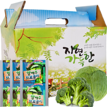 양배추브로콜리즙 1박스55포 [ 2박스구매시+20포증정(총130포) ], 55포, 100ml