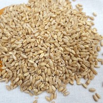 50년전통대현상회 프리미엄 잡곡 혼합곡 39종 찹쌀 현미 녹미 블랙보리 퀴노아 병아리콩 서리태 유색보리 렌틸콩 녹두, 1개, 리필 통밀 1kg