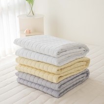 [르헤브] 클라우드 알러지케어 마이크로 워싱 카페트 겸 패드 (Q 퀸)