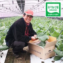 직거래농민장터 친환경 유기농 케일, 1box, 유기농 케일 2kg