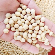 국산 햇 백태콩 5kg 10kg 종자용가능 햇콩 메주콩 두부콩 콩나물콩 청국장콩 낫또 대두 흰콩 노란콩