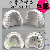 치아모형 재료상 입모형 모양 치과 석고 표준치열 유치악 Wstug 증정, 01 치석고 틀이 있다