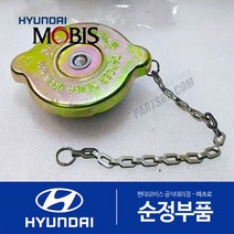 뉴 파워트럭 순정 라디에이터 캡 뚜껑 (연식무관)