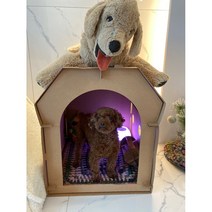 수그린하우스 중대형 강아지집 고양이 반려동물 길냥이 길고양이 급식소 애견 텐트 애완용품 하드하우스, 브라운