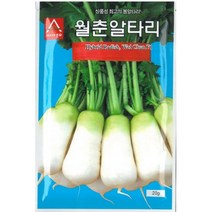 월춘 알타리 무 씨앗 20g 겨울 봄 재배 작형 잎 적당 육질 아삭 맺힘 좋고 상품성 뛰어난 작물 종자 텃밭 채소 농사 김장 김치