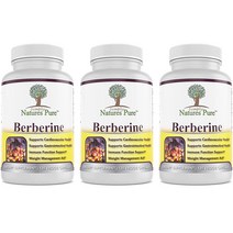 [3개 세트] 심플리 네이쳐 퓨어 베르베린 Berberine 500mg 120 베지캡슐