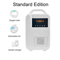 휴대용 산소 농축기 인공 호흡기 자동차 홈 Atomized 음이온 조절 산소 생성 기계, 01 금