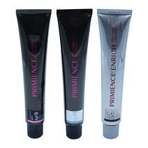 시세이도 프리미언스 엔리치 염색약 80g 산화제포함, 1개, 패션칼라(멋내기) O7