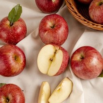 산지직송 DMZ 청정사과 가정용 부사 5kg, 1box, 5kg (24~25)과