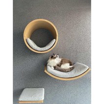 벽고정 캣선반 고급 북미 호두나무 거실 DIY 계단 캣워커, G 3종 애쉬블루2