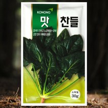 시금치씨앗 봄가을 파종용 맛찬들시금치 30g 고농