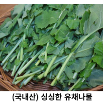 (국내산) 신선한 유채나물 생 유채나물 1kg 데친 유채사물 1kg 국산 신선한 봄나물 제철채소 동초나물 삼동초, (생)유채나물1kg