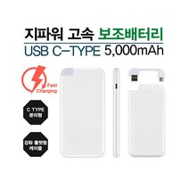 보조배터리 갤럭시S9/S9+ 5000mAh/C타입 케이블 분리형, White, SR2244