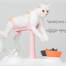 펫올라잇 소형견용 반려동물 케어 목욕 발톱 미용 털 관리 빗질 지지대 강아지 고양이 반려견 반려묘