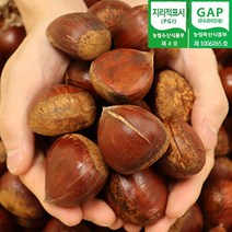 2022년 공주 정안면 햇 칼집밤 2kg 4kg 대사이즈 공주햇밤 손질밤 햇밤 정안밤 산지발송, 정안 칼집밤 대 4kg