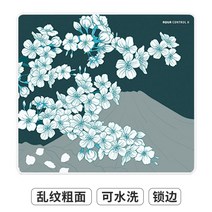 Xraypad 아컨플 2세대 모음 FPS 프로게이머 마우스패드 아쿠아 컨트롤 플러스 2, 360x300mm + 4mm개, E - 사쿠라 그린