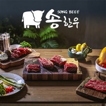 송한우 마장동 최상등급 한우1++선물세트 투플러스 한우선물세트 추석 설 명절선물, 선물가방, 한우선물세트 B