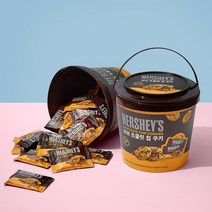 허쉬 초콜릿칩 쿠키, 456g, 2개