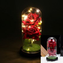 꽃무드등 장미 무드등 특이한 카페 조명 유리돔