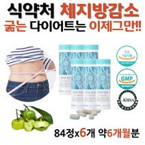 여성 연애인 청소년 하체 단기 다이어트 예비신부 여자 출산후 다이어트 알로에전잎 무수바바로인 HCA 가르시니아 캄보지아 일주일 단기간