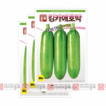 아시아종묘 채소씨앗 - 애호박씨앗 킹카애호박 (30립x3)