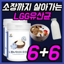 람노서스 락토바실러스 유산균 LGG 엘지지 rgg 패밀리 페밀리 온가족 키즈 유아 베이비 우먼 여성 임산부 직장인 장까지 살아가는 유생균 30대 40대 50대 가루 파우더 분말, 230gx12통
