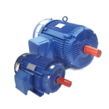 하이젠모터 25마력/ (18.5KW) 프리미엄(IE3) 효율 3상(삼상) 220V/380V 겸용 4극 유도전동기 전폐형 저압표준모터 수평형 (하이젠모터 25마력/ (18