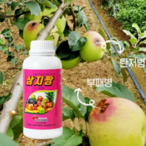 삼지짱 1000ml 황금콤비 250g 고추탄저병약 사과탄저병약 오이노균병약 겹무늬썩음병 탄저병 탄저균 약 살균제 예방약 농약 살충제