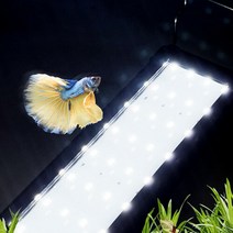 미미네아쿠아 올화이트 LED 어항조명 3자등 90-100, 단품없음