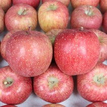 청송사과 부사 햇사과 부사사과 3kg 5kg 10kg 2022년 햇사과, 푸 청송부사 사과 고급선물 10k24-30과