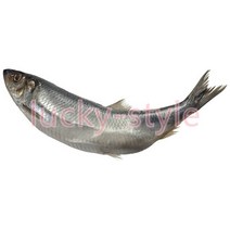 볼링용품 맞춤형 고양이 물고기 낚시 자동차 스티커 방수 패션 캠퍼 트럭 데칼 폐색 스크래치 장식 액세서, 09 Style I_01 10cm length