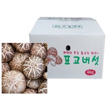 생표고버섯 물 효능 문경 표고버섯 무농약 키우기 키트 산지직송 4kg