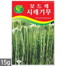 적작두콩 씨앗 10립 - 씨 작두콩씨앗 작두콩씨 작두콩 콩씨앗 콩씨 텃밭 주말농장, 12_시래기무(15g)