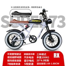 2인승전기자전거 어르신 피닉스 외출 동종 용, 01 화이트 RX 13Ah/50-55km/(디, 48V_13AH