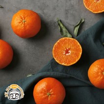 (롯데백화점)블루제주 서귀포 레드향 선물용 2.5kg (8-13수/실중량)