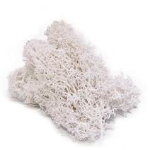 비바리움 이끼테라리움 액자 20g 인공 식물 영원한 생명 이끼 정원 홈 장식 벽 diy 꽃 재료 미니 정원 마이크로 조경 액세서리, 하얀