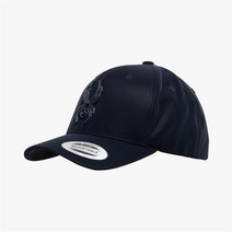 [스파이더 공식 아울렛]메탈 로고 캡 SPFFANCA308UNVY