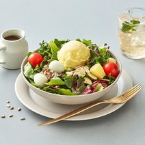 한국야쿠르트의 새이름 HY 고구마 샐러드, 단품