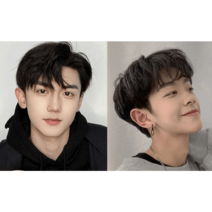 남자가발 인모가발100% 연예인 남자통가발 자연가발, 상세이페이지 참고, 내츄럴 블랙 컬러 크림