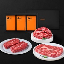 [G][푸드랩플러스] 소고기 3종 선물세트 총 1kg (갈비살 300g+부채살 300g+살치살 400g), 단일옵션