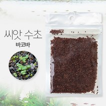 씨앗수초 바코바 8g