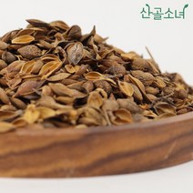 산골소녀 중국산 연교 개나리열매, 600g