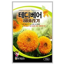 루드베키아 씨앗 10립 A0266