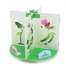 초등 4학년과학 식물 강낭콩의한살이 관찰판만들기 실험 어린이집교구 어린이과학실험