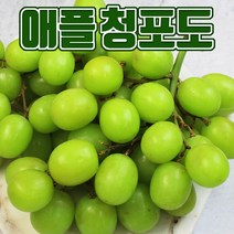 오톰크리스피 애플청포도 씨없는포도, 2kg내외