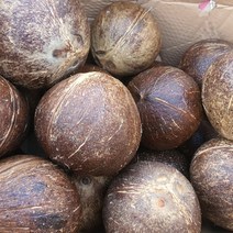 천연이온음료 야자코코넛 1개당 1kg내외, 6입