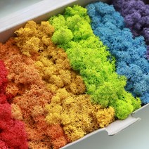 스칸디아모스 그라데이션모스 천연이끼 150g 공기정화식물 만들기 diy 재료, 스칸디아모스 150g, 버건디